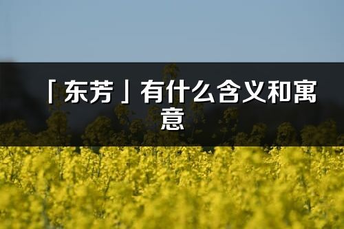 「東芳」有什么含義和寓意_東芳名字的出處與意思