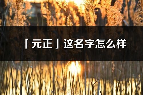 「元正」這名字怎么樣_元正的名字解釋