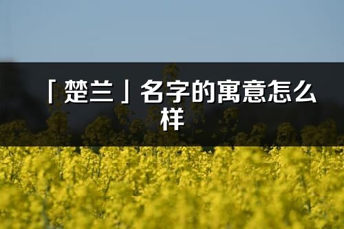 「楚蘭」名字的寓意怎么樣_楚蘭的出處