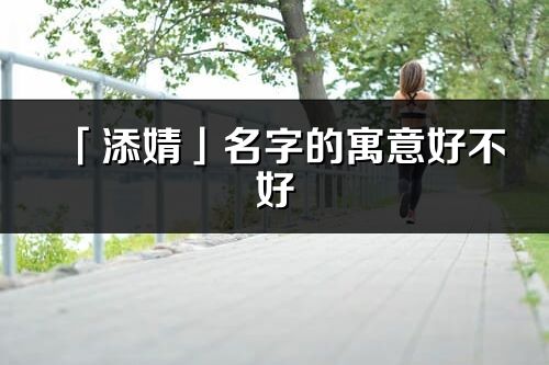 「添婧」名字的寓意好不好_添婧含義分析