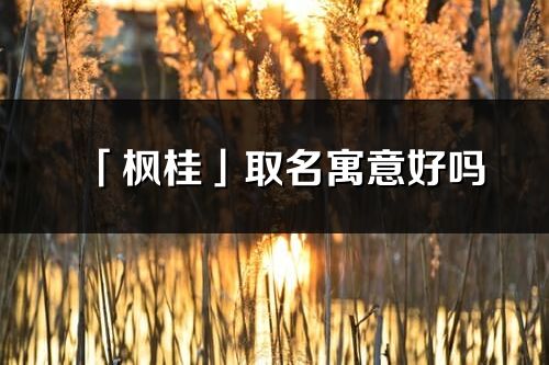 「楓桂」取名寓意好嗎_楓桂名字含義及五行