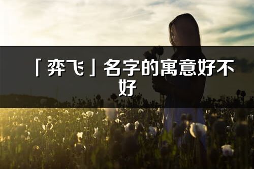 「弈飛」名字的寓意好不好_弈飛含義分析