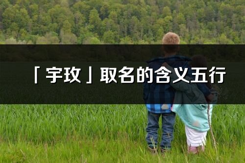 「宇玫」取名的含義五行_宇玫名字寓意解釋