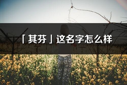 「其芬」這名字怎么樣_其芬的名字解釋