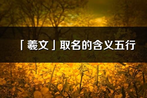 「羲文」取名的含義五行_羲文名字寓意解釋