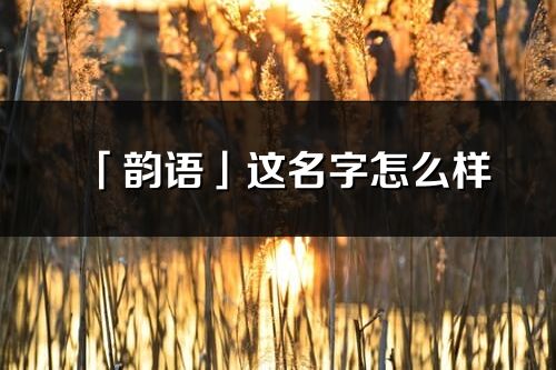 「韻語」這名字怎么樣_韻語的名字解釋