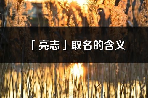 「亮志」取名的含義_亮志名字寓意解釋