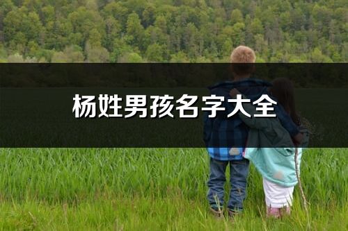 楊姓男孩名字大全