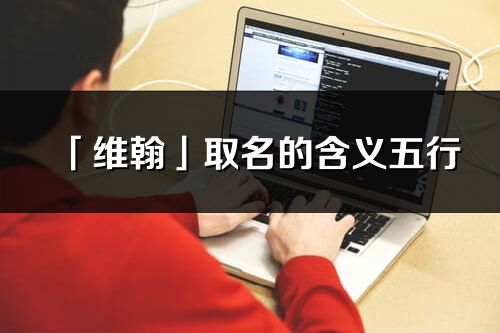 「維翰」取名的含義五行_維翰名字寓意解釋