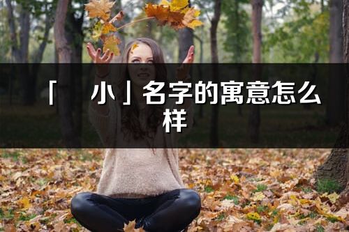 「彧小」名字的寓意怎么樣_彧小的出處