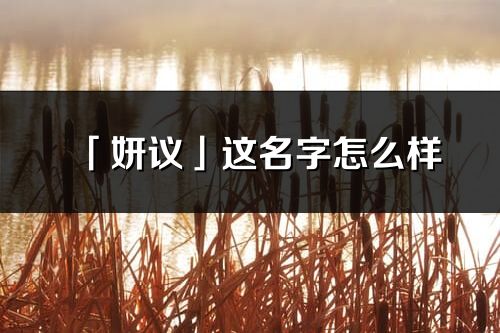 「妍議」這名字怎么樣_妍議的名字解釋