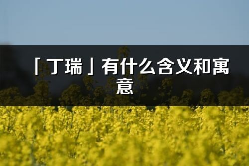 「丁瑞」有什么含義和寓意_丁瑞名字的出處與意思