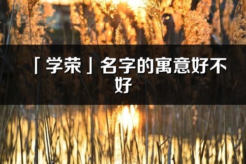 「學(xué)榮」名字的寓意好不好_學(xué)榮含義分析