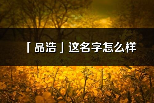 「品浩」這名字怎么樣_品浩的名字解釋