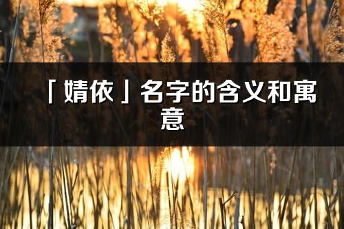 「婧依」名字的含義和寓意_婧依的出處與意思解釋