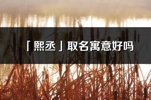 「熙丞」取名寓意好嗎_熙丞名字含義及五行