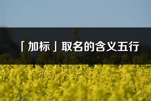 「加標」取名的含義五行_加標名字寓意解釋