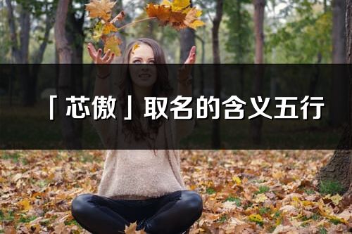 「芯傲」取名的含義五行_芯傲名字寓意解釋