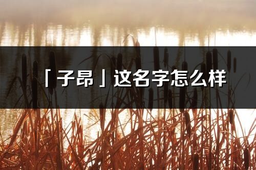 「子昂」這名字怎么樣_子昂的名字解釋