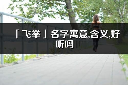 「飛舉」名字寓意,含義,好聽嗎_飛舉名字分析打分