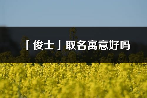 「俊士」取名寓意好嗎_俊士名字含義及五行