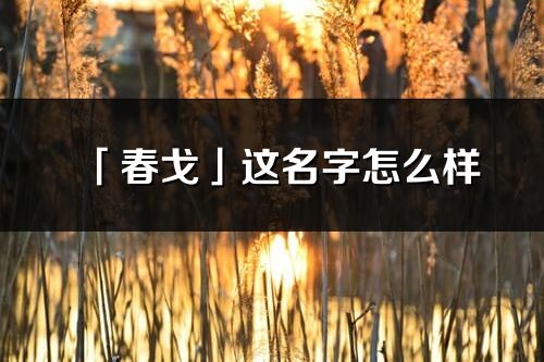 「春戈」這名字怎么樣_春戈的名字解釋