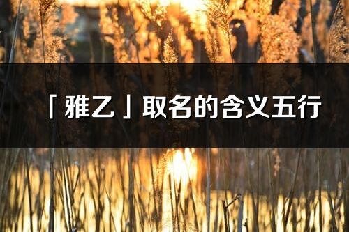 「雅乙」取名的含義五行_雅乙名字寓意解釋