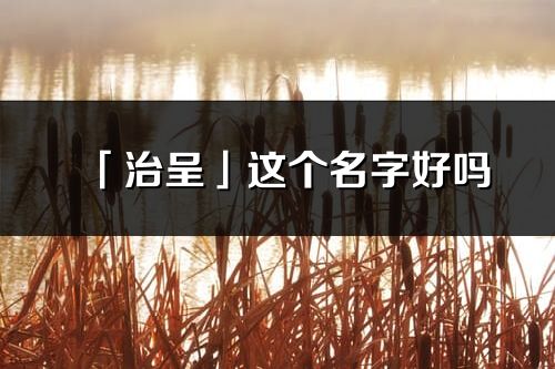 「治呈」這個名字好嗎_治呈名字寓意,含義