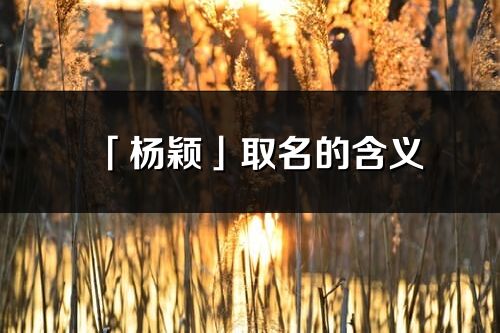 「楊穎」取名的含義_楊穎名字寓意解釋