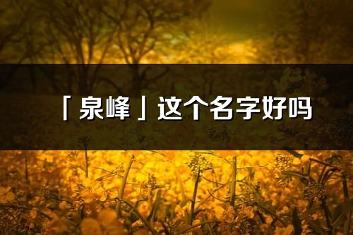 「泉峰」這個名字好嗎_泉峰名字寓意,含義