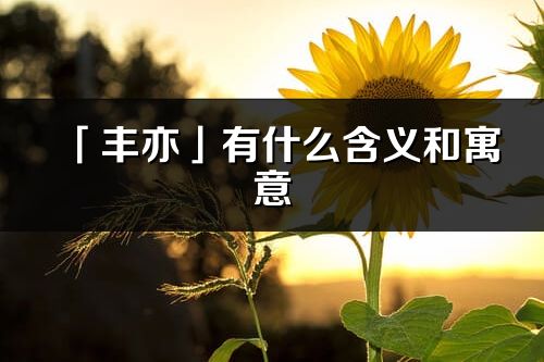 「豐亦」有什么含義和寓意_豐亦名字的出處與意思