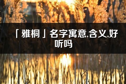 「雅桐」名字寓意,含義,好聽嗎_雅桐名字分析打分