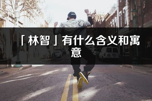 「林智」有什么含義和寓意_林智名字的出處與意思