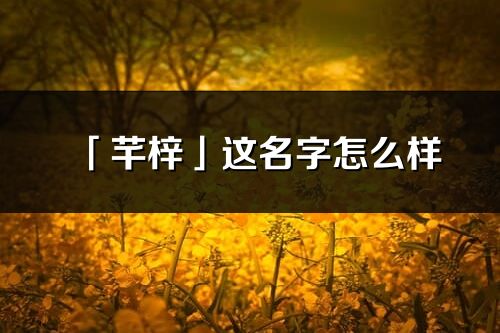 「芊梓」這名字怎么樣_芊梓的名字解釋