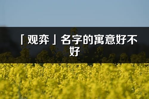 「觀弈」名字的寓意好不好_觀弈含義分析