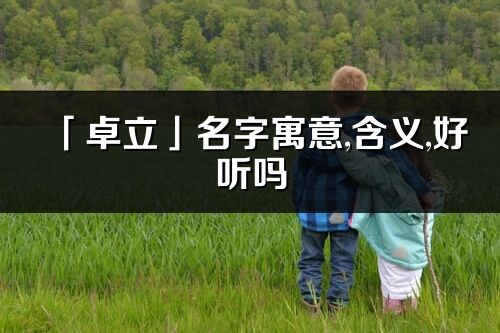 「卓立」名字寓意,含義,好聽嗎_卓立名字分析打分