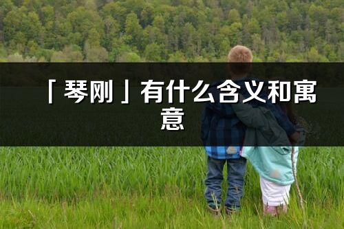 「琴剛」有什么含義和寓意_琴剛名字的出處與意思