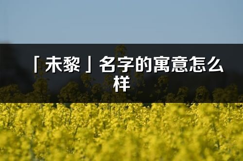 「未黎」名字的寓意怎么樣_未黎的出處