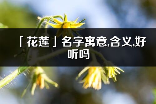 「花蓮」名字寓意,含義,好聽嗎_花蓮名字分析打分