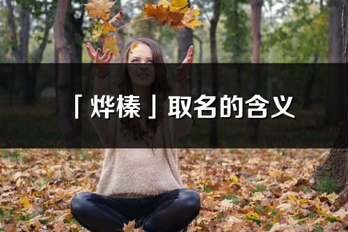 「燁榛」取名的含義_燁榛名字寓意