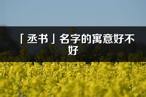 「丞書」名字的寓意好不好_丞書含義分析