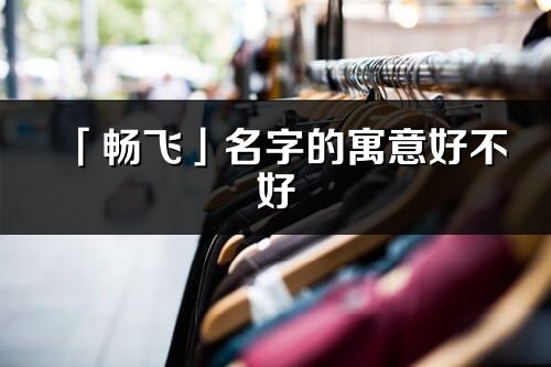 「暢飛」名字的寓意好不好_暢飛含義分析