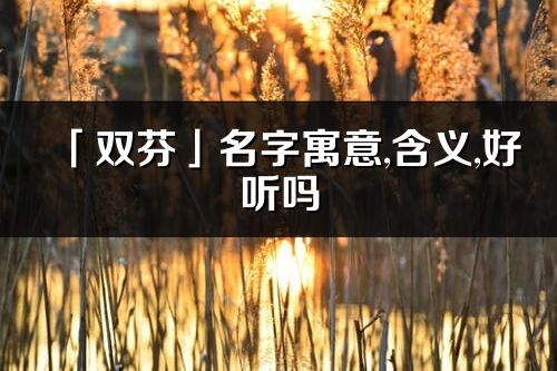 「雙芬」名字寓意,含義,好聽嗎_雙芬名字分析打分