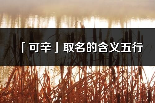 「可辛」取名的含義五行_可辛名字寓意解釋