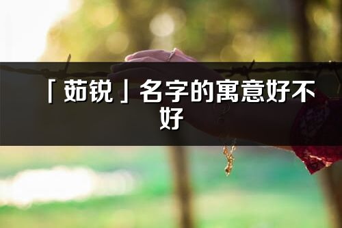 「茹銳」名字的寓意好不好_茹銳含義分析