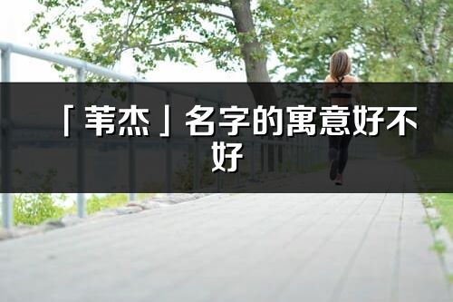 「葦杰」名字的寓意好不好_葦杰含義分析