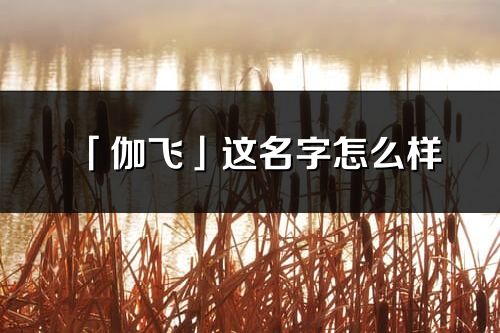 「伽飛」這名字怎么樣_伽飛的名字解釋