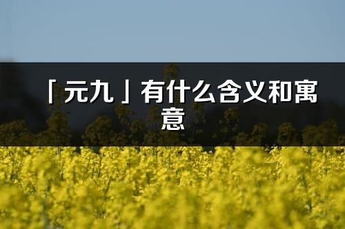 「元九」有什么含義和寓意_元九名字的出處與意思