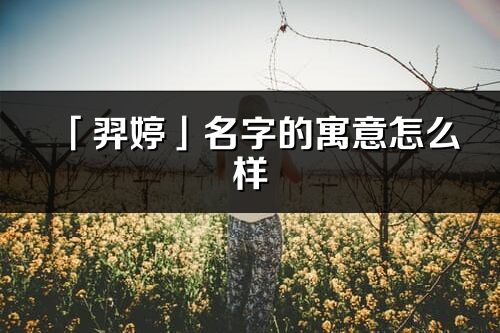 「羿婷」名字的寓意怎么樣_羿婷的出處