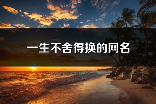 一生不舍得換的網名(優(yōu)選316個)